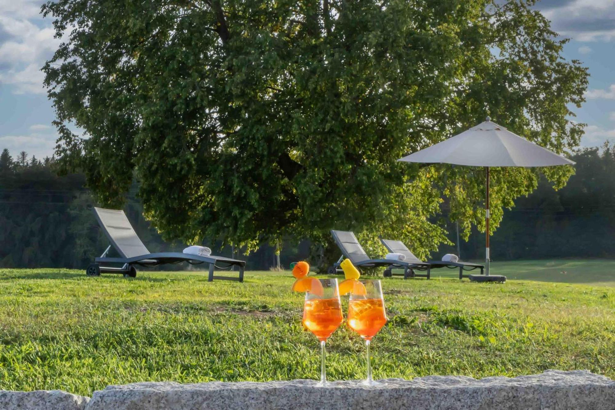 Wellnesshotel Sonnenhof & Sonnhalde Илинген-Биркендорф Экстерьер фото